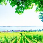 Burgunderhof Bodensee - Adults Only