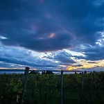 Burgunderhof Bodensee - Adults Only