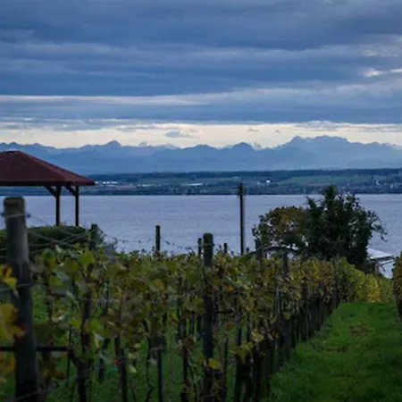 Hotell Burgunderhof Bodensee - Adults Only