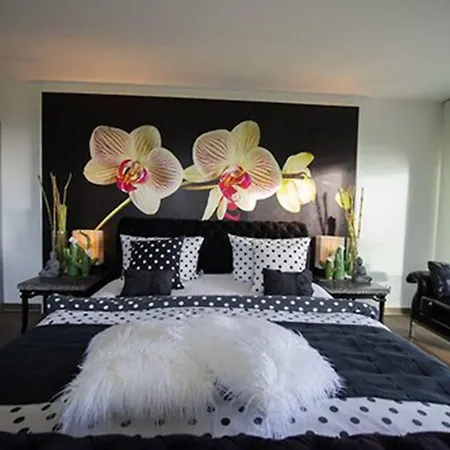 Burgunderhof Bodensee - Adults Only