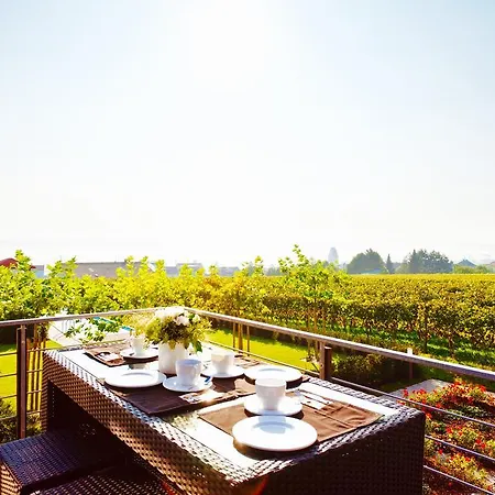 酒店 Burgunderhof Bodensee - Adults Only 4*