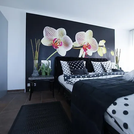 Burgunderhof Bodensee - Adults Only 호텔 4*