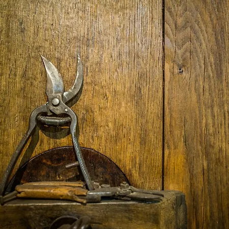 Burgunderhof Bodensee - Adults Only Hotel 4*