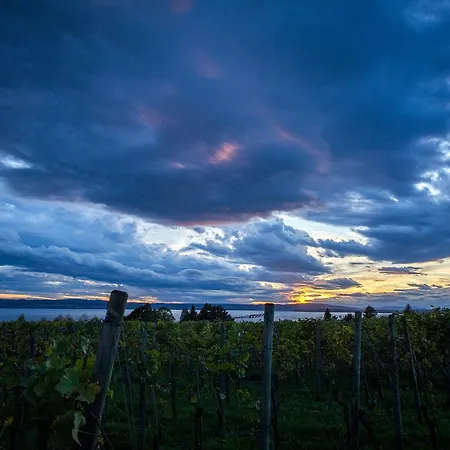 Burgunderhof Bodensee - Adults Only