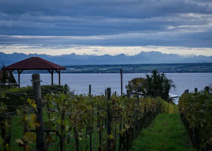 Hotel Burgunderhof Bodensee - Adults Only