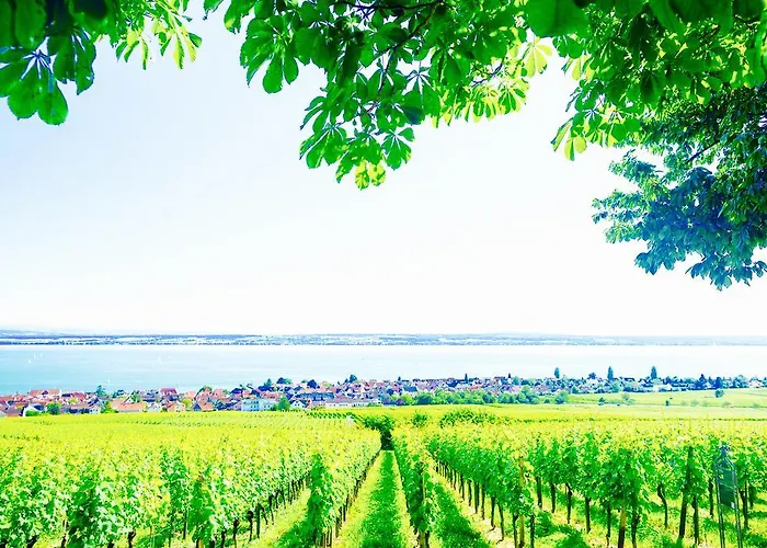 Burgunderhof Bodensee - Adults Only