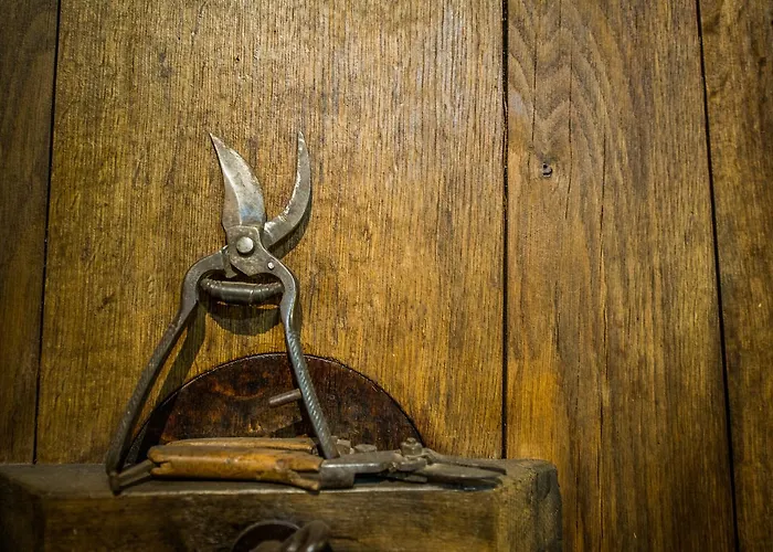 Burgunderhof Bodensee - Adults Only Hotel 4*