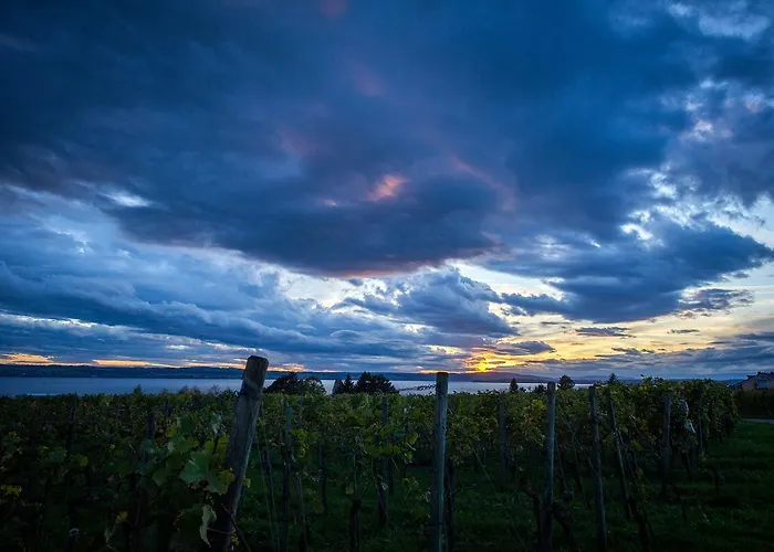 Burgunderhof Bodensee - Adults Only